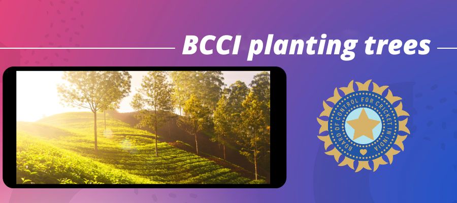 BCCI will plant thousands of trees discussion of the idea