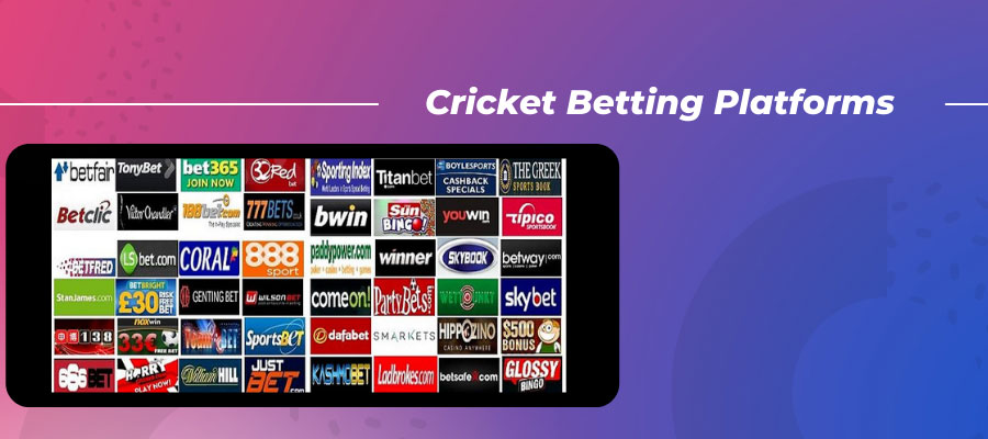 Cricket Betting Platforms ipl